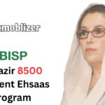Ehsaas Program CNIC Check Online 25000 Registration 2024